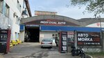 Individual Auto (Trefoleva Street, 4к1), car wash