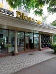 Blossom (Tole Bi Avenue, 57), beauty salon