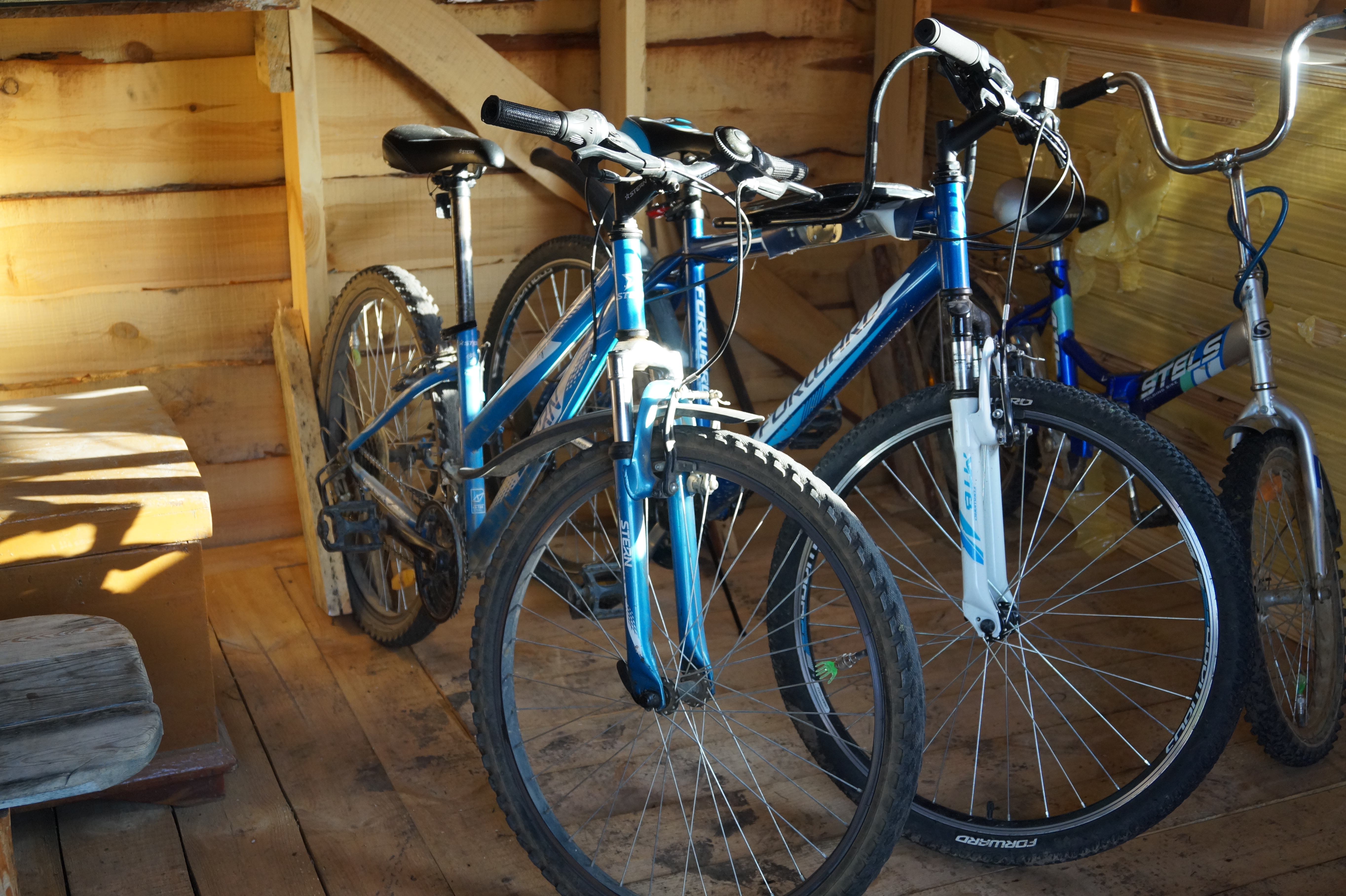 Фото Ясная поляна