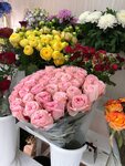 Littleholland Garden (derevnya Sobolikha, Novoslobodskaya ulitsa, 6А), flower shop