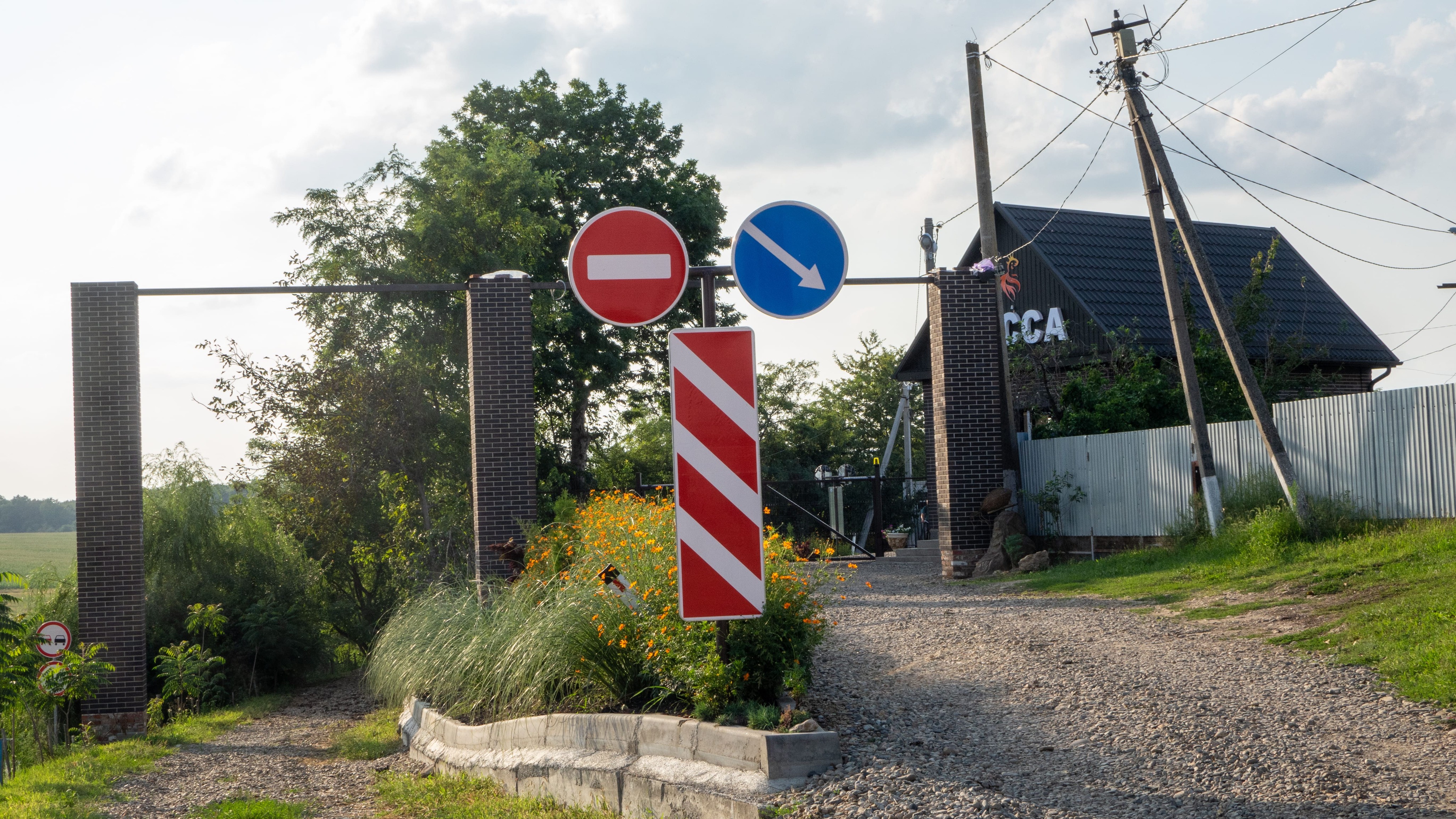 Фото Золотая рыбка