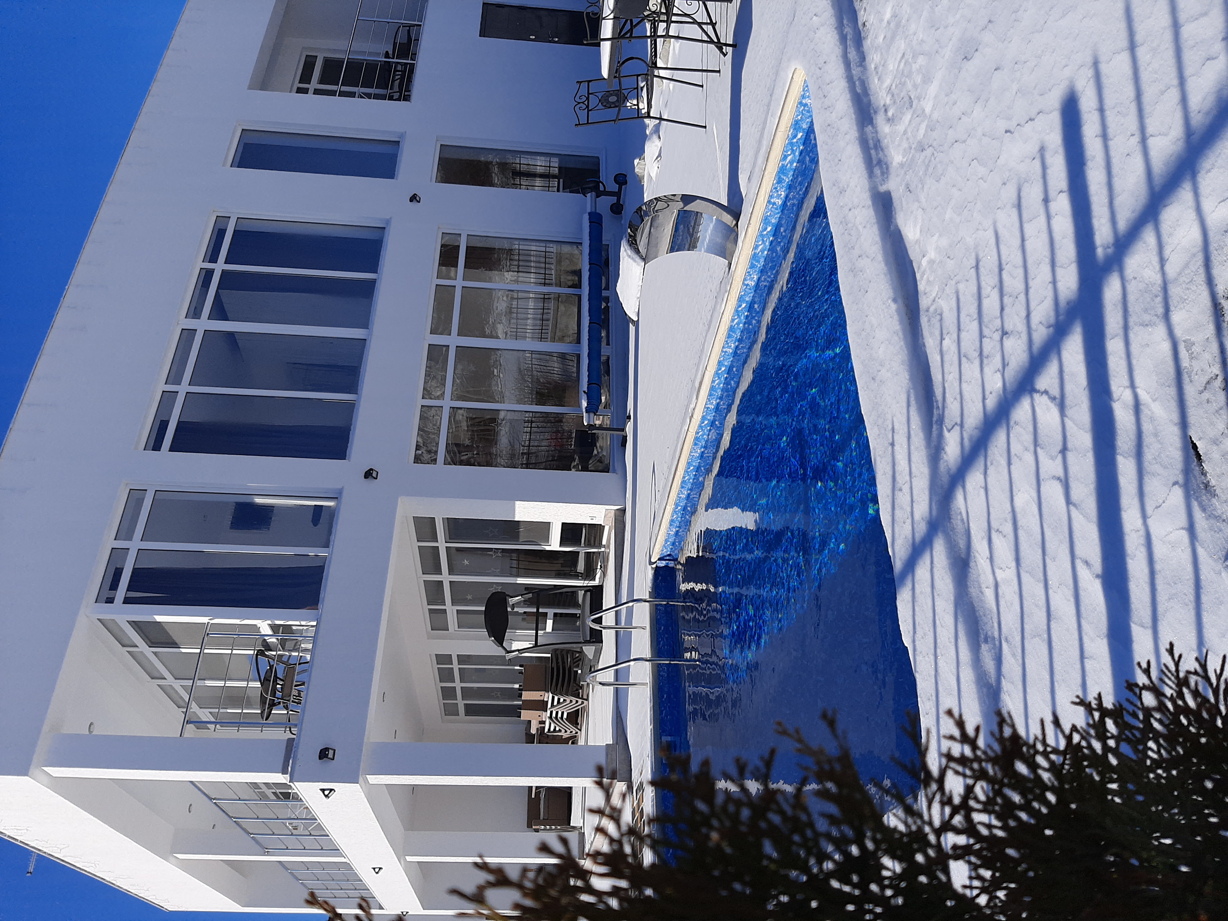 Фото Горная лаванда