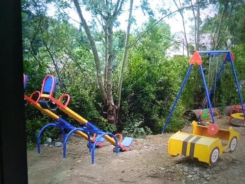 Фото Олеандр