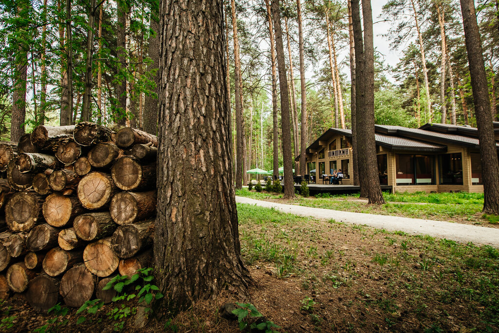 Chkalovskie Dachi, resort, дачный посёлок Мочище, микрорайон Дом отдыха Мочище, 