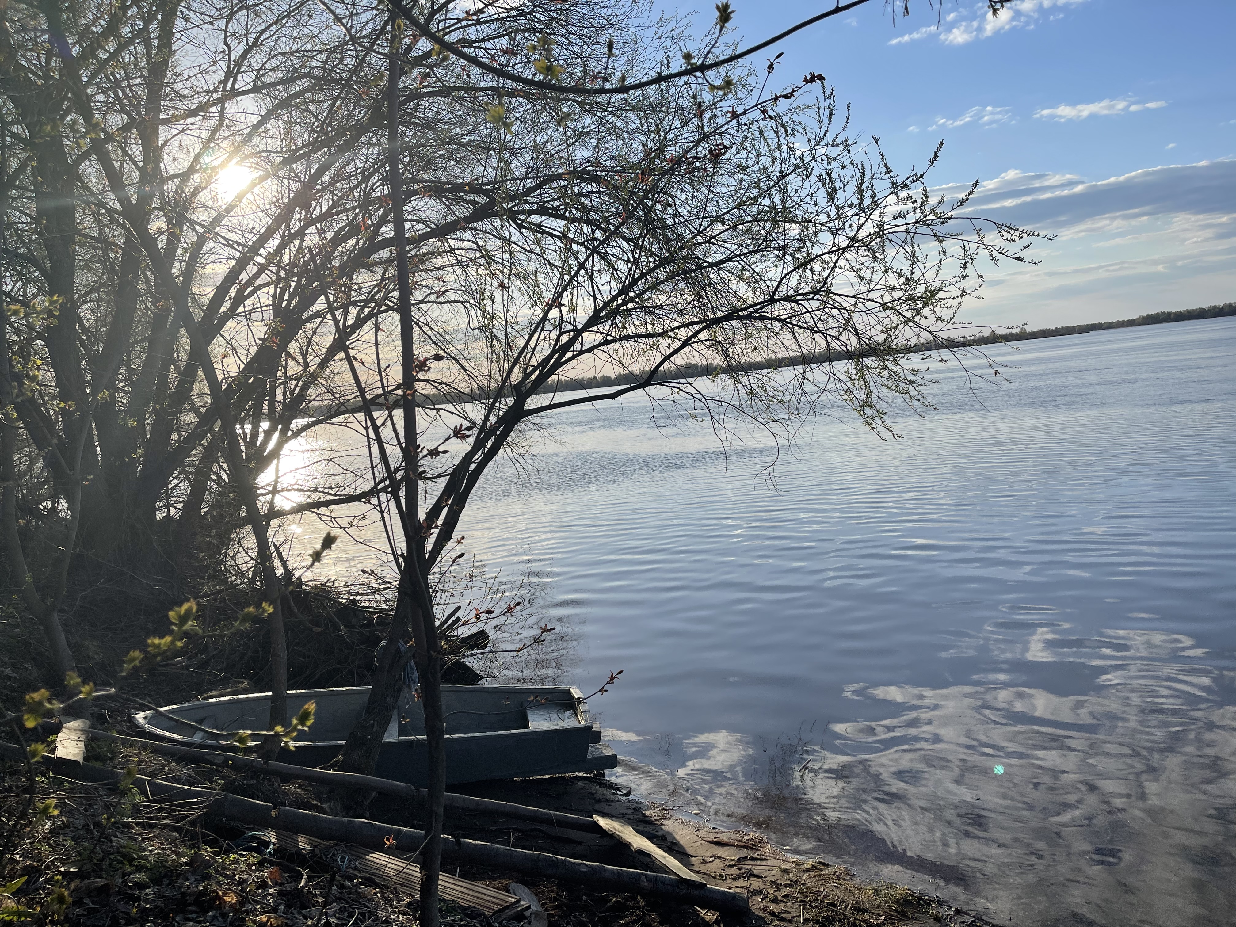 Фото Ласточкин дом