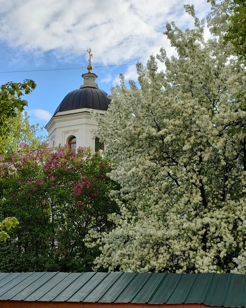 Православный храм Церковь Феодоровской иконы Божией Матери при Российском государственном социальном университете, Москва, фото