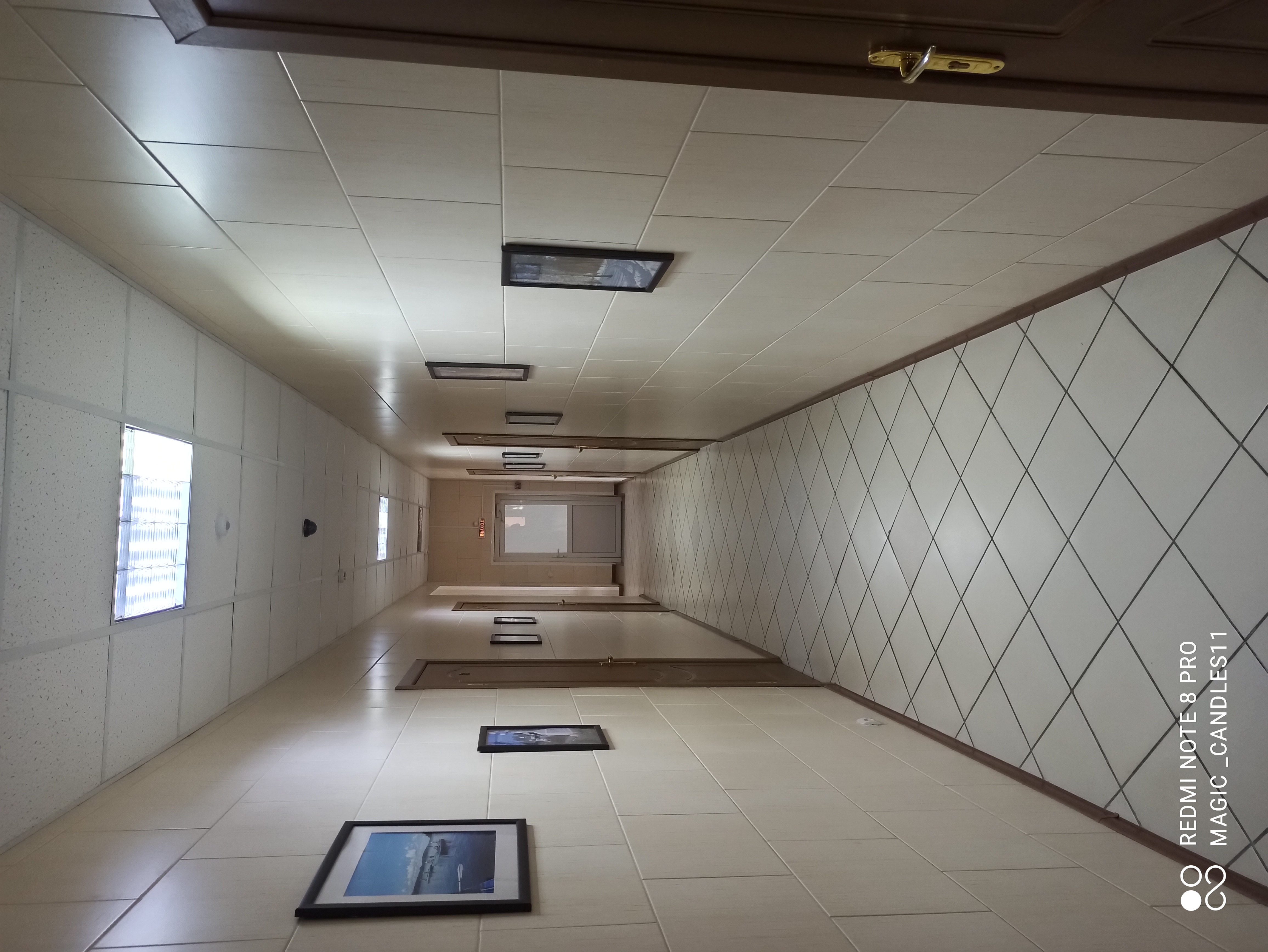 Фото РодНик