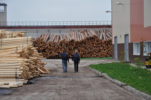 Лесозаготовка, продажа леса Филиал Стод в городе Торжок предприятие Лесосырьевое обеспечение, Торжок, фото