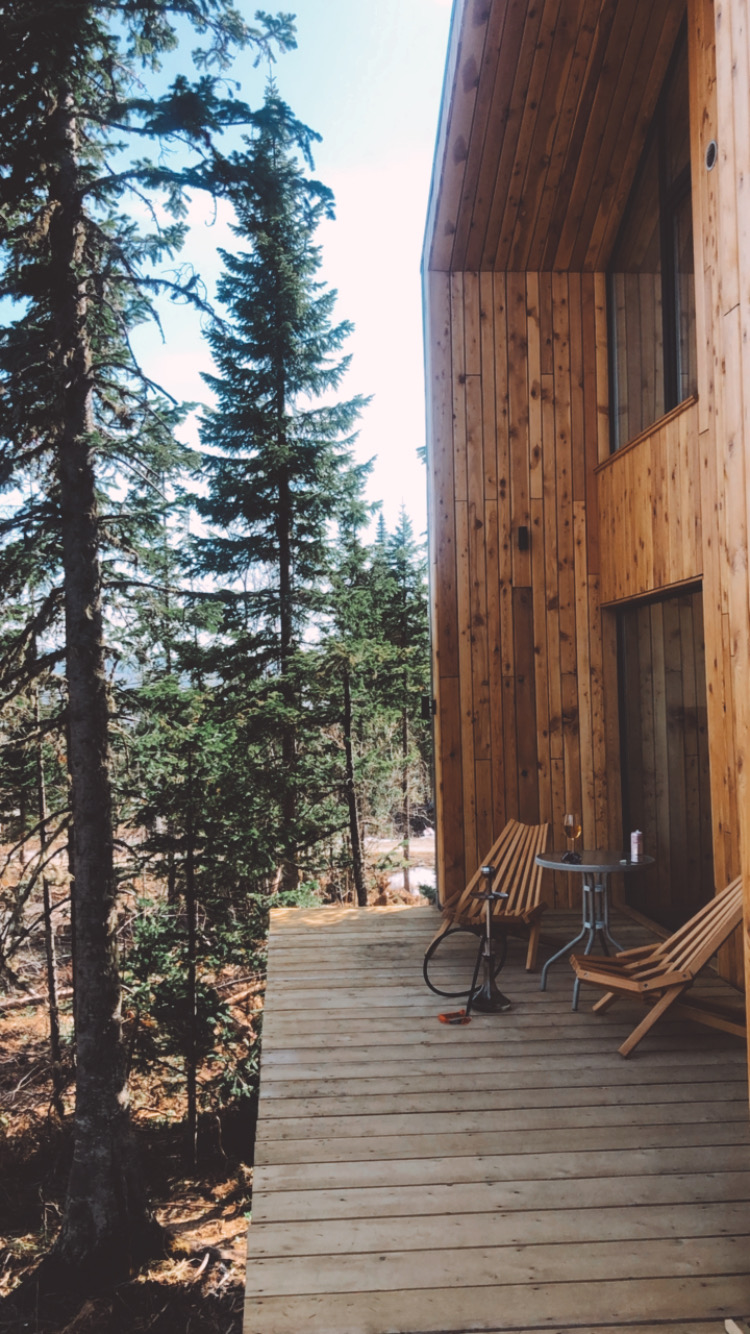 Фото Svekla project