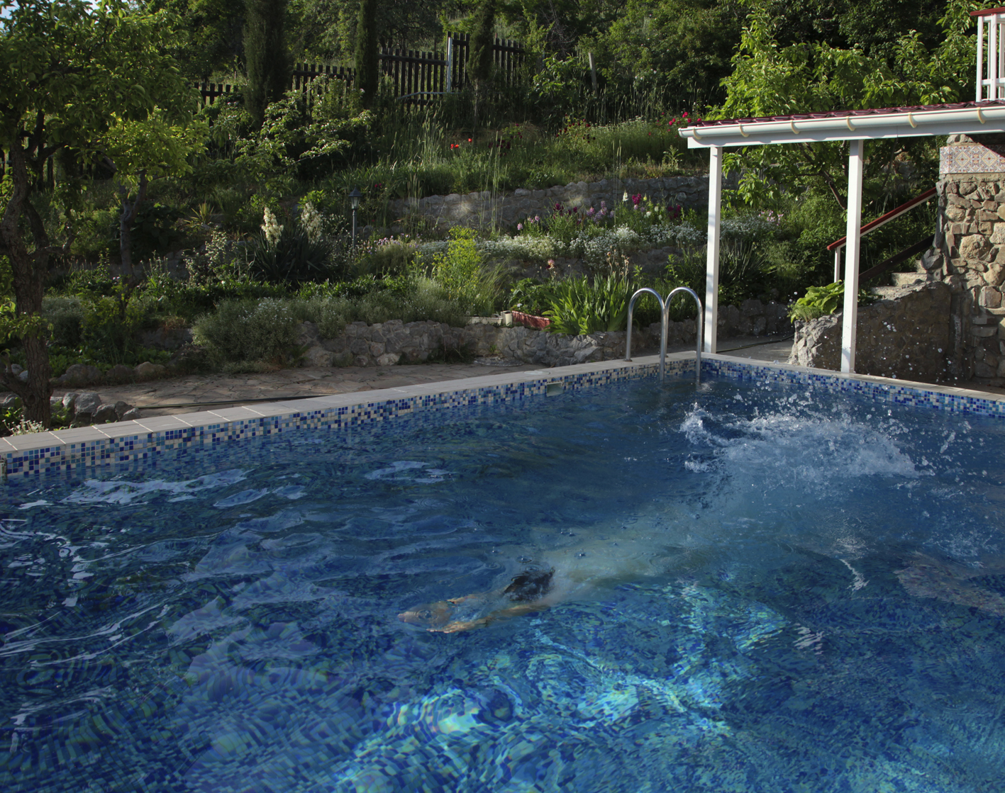 Фото Арпат Зеленогорье