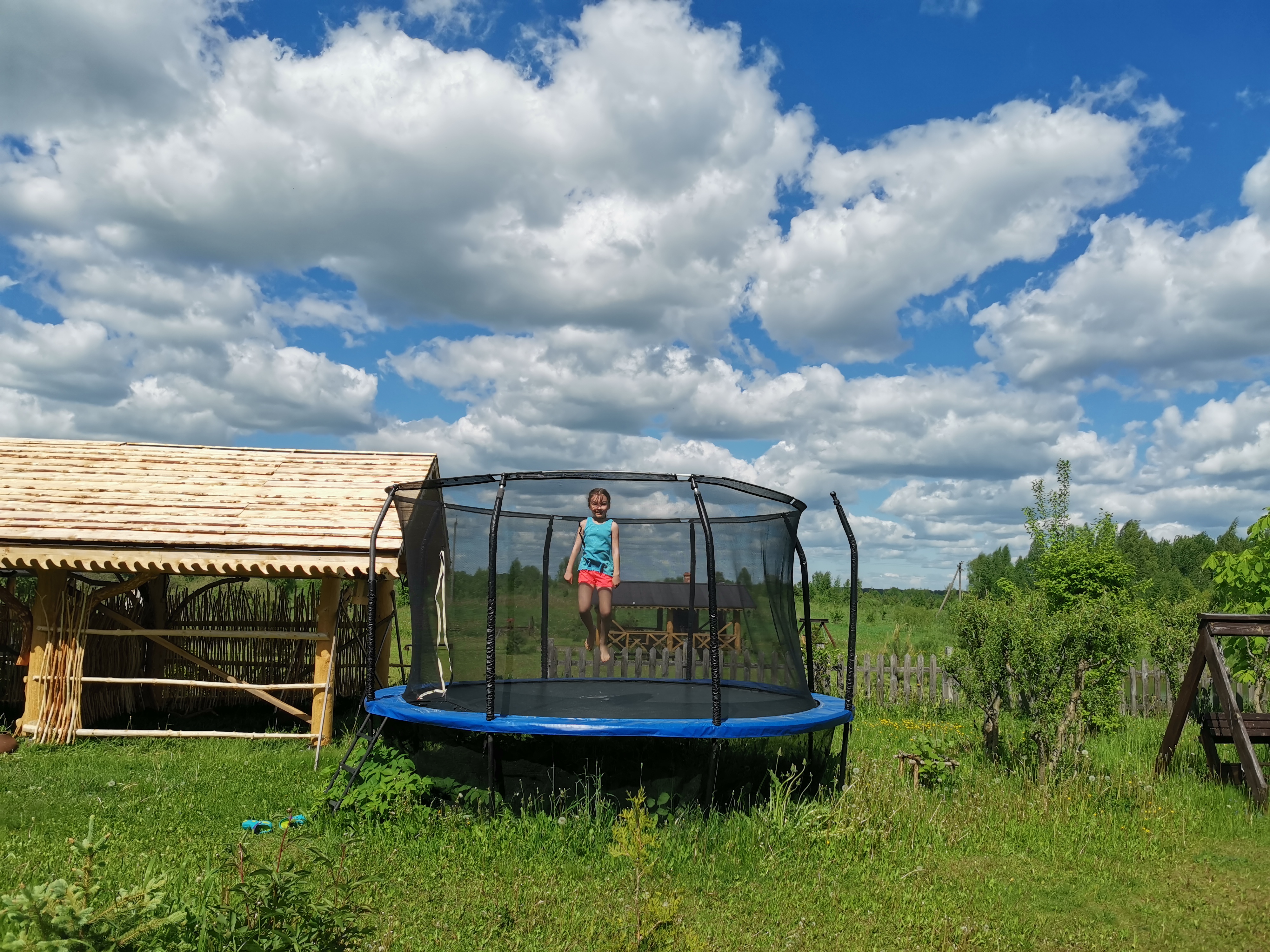 Фото Псковские дали