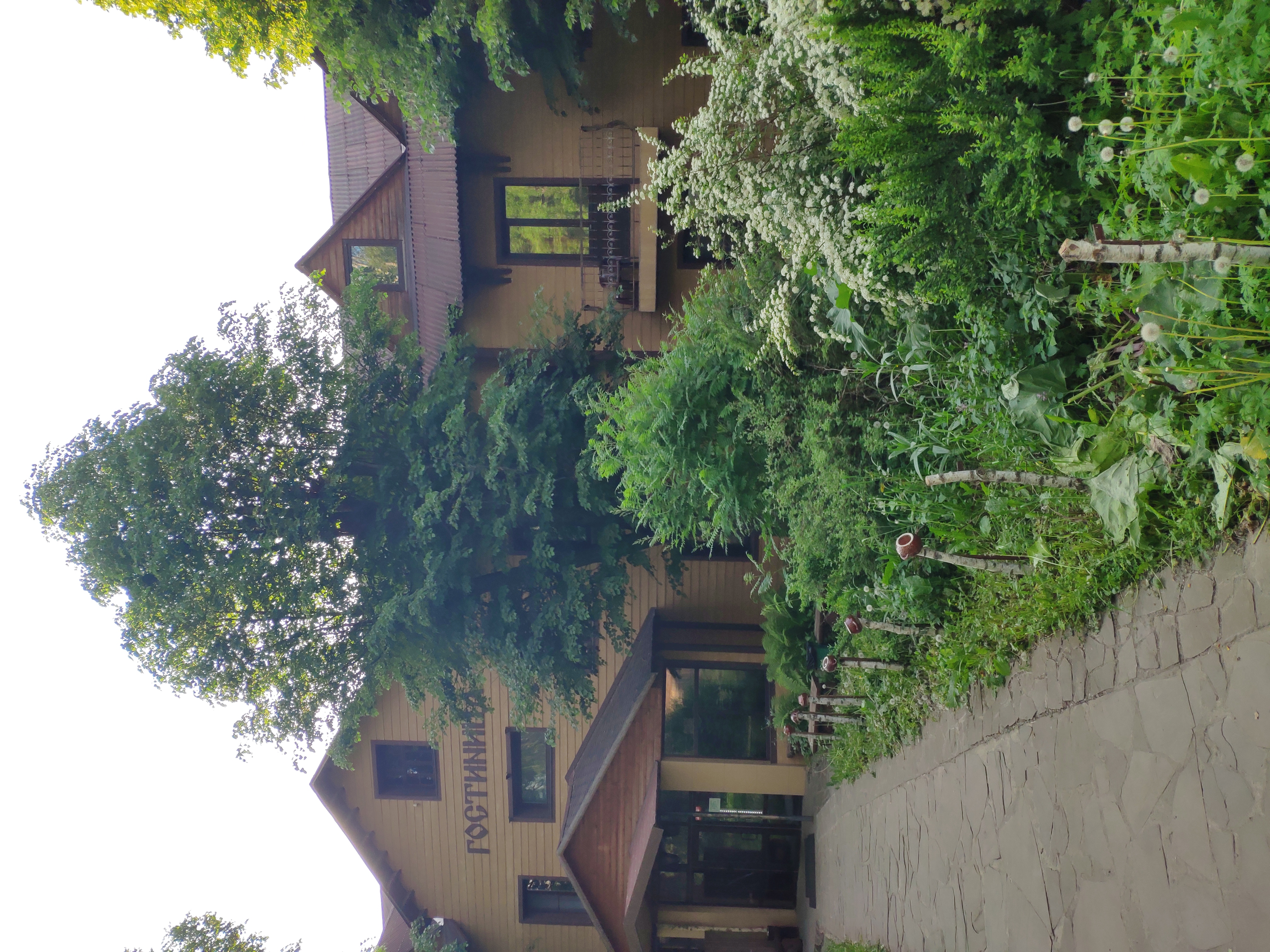 Фото Русский лес