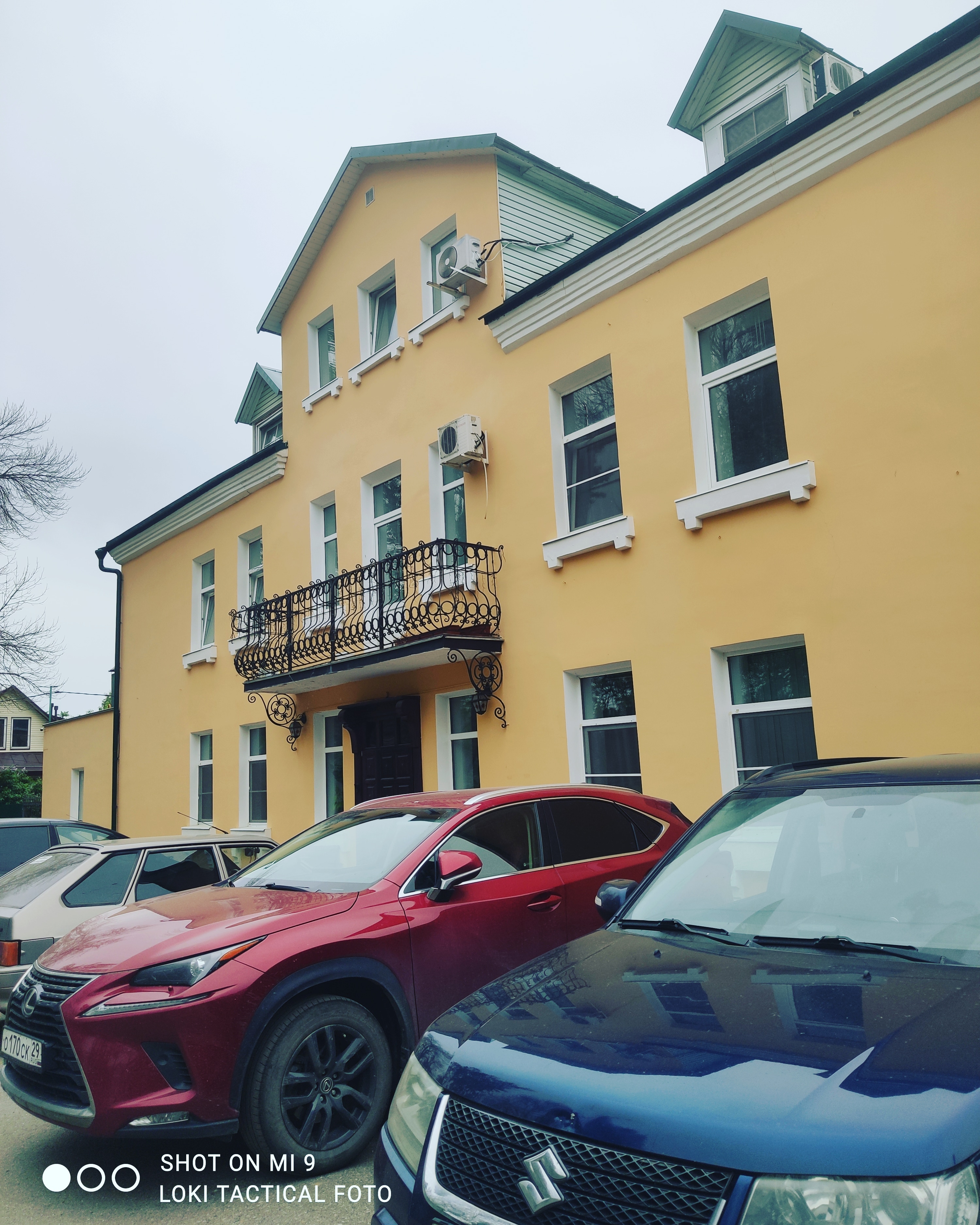 Фото Роза Ветров