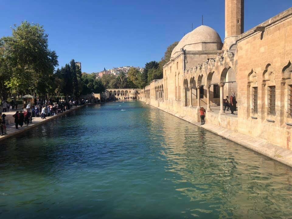 Organization of events İsa Ulusoy, Sanliurfa, photo