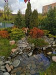 Sadovy tsentr Selyatino (Moscow Region, Naro-Fominskiy City District, rabochiy posyolok Selyatino) ، مركز الحديقة
