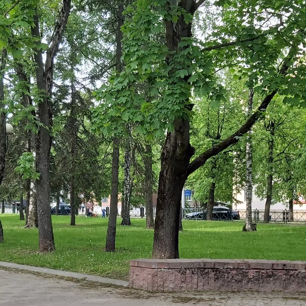 Парк культуры и отдыха Бульвар Толбухина, Минск, фото