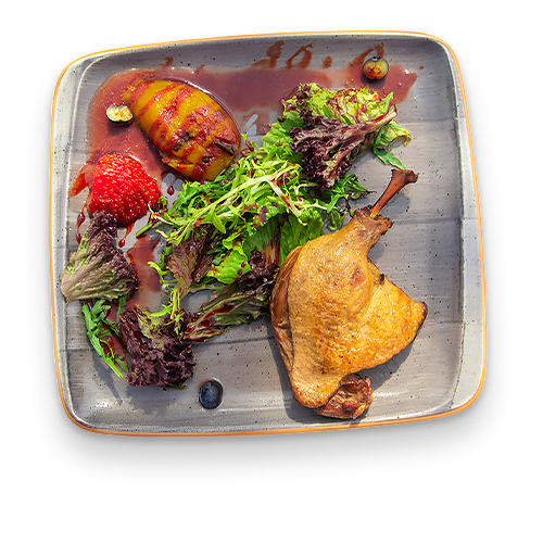 Фото Тропикана Парк