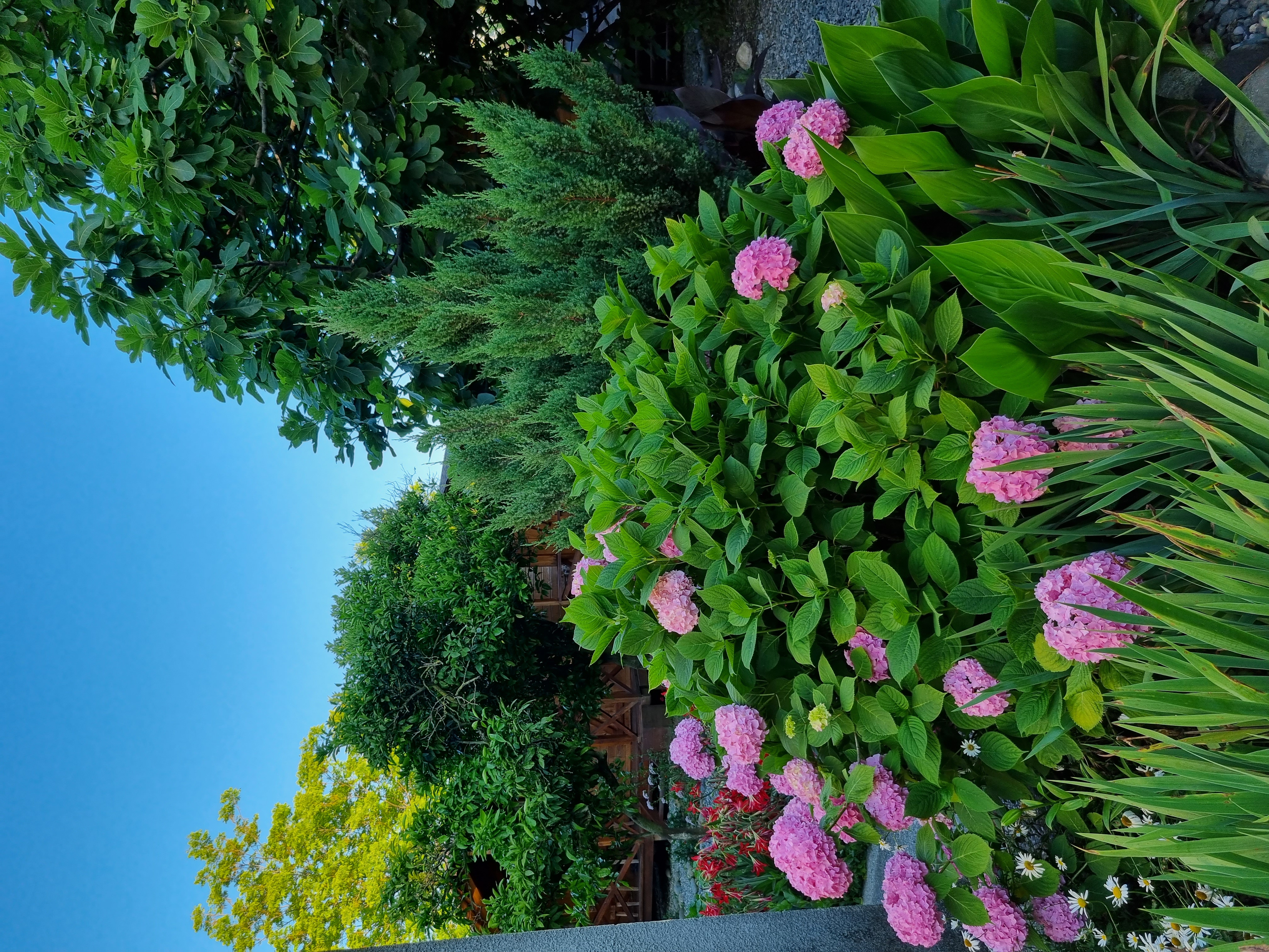 Фото Теремки