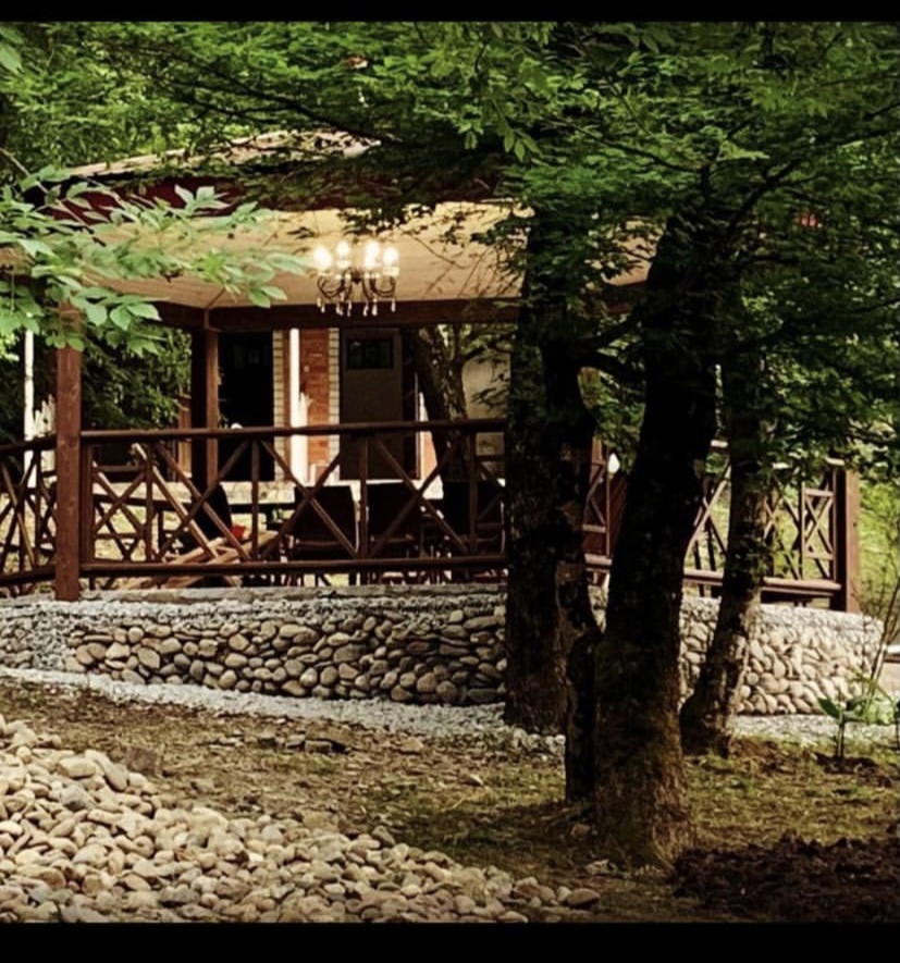 Фото Примула