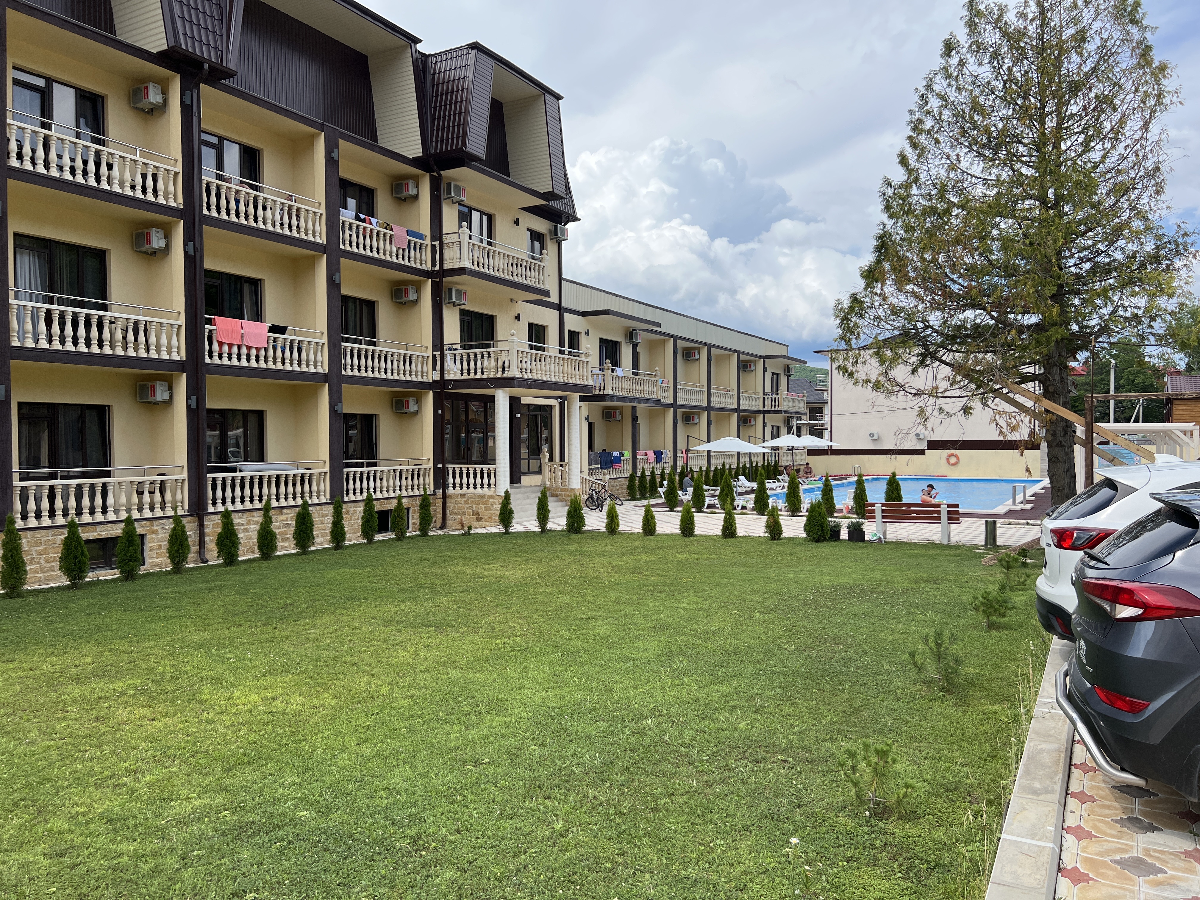 Фото Аммонит