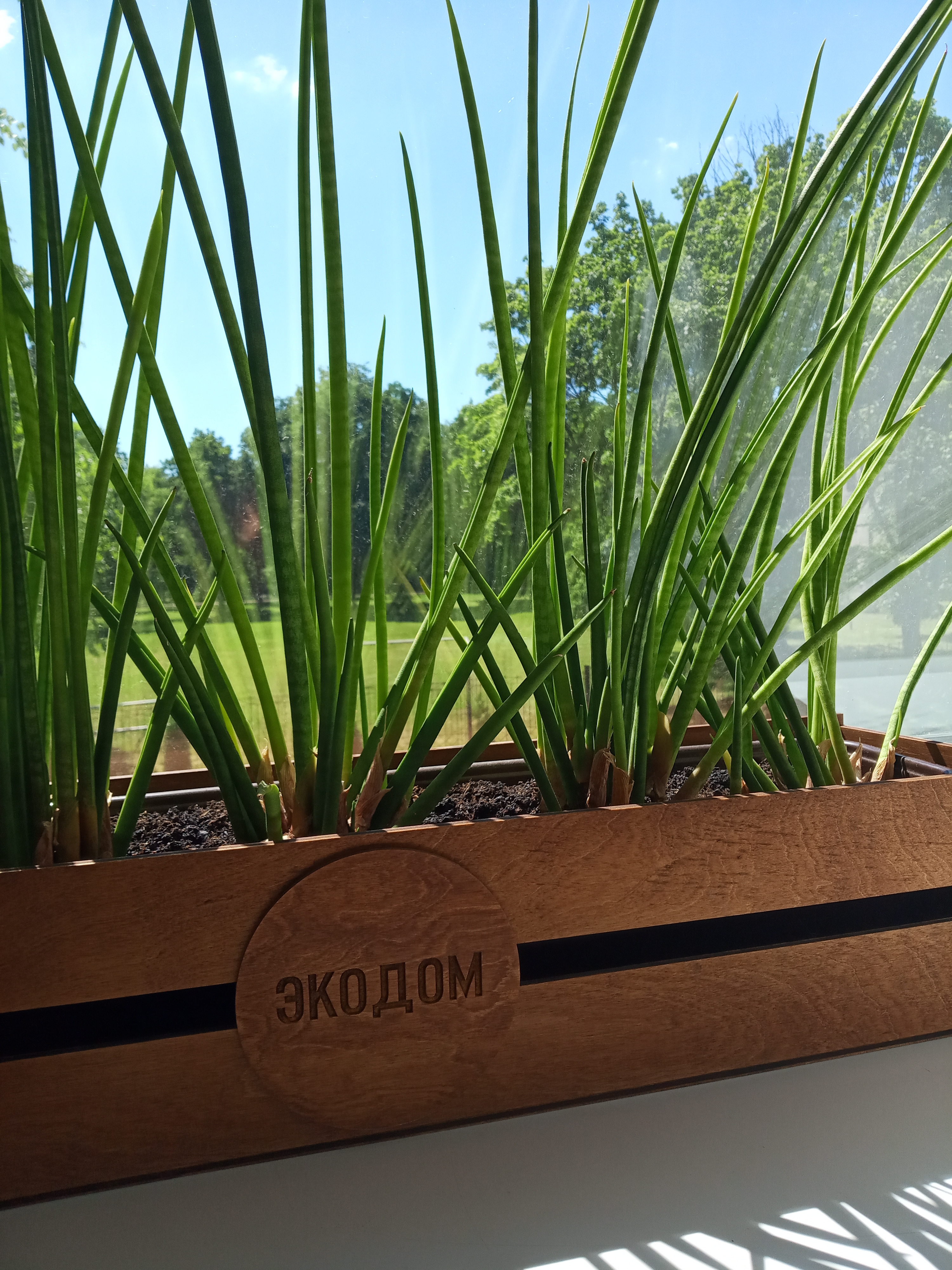 Фото ЭкоДом