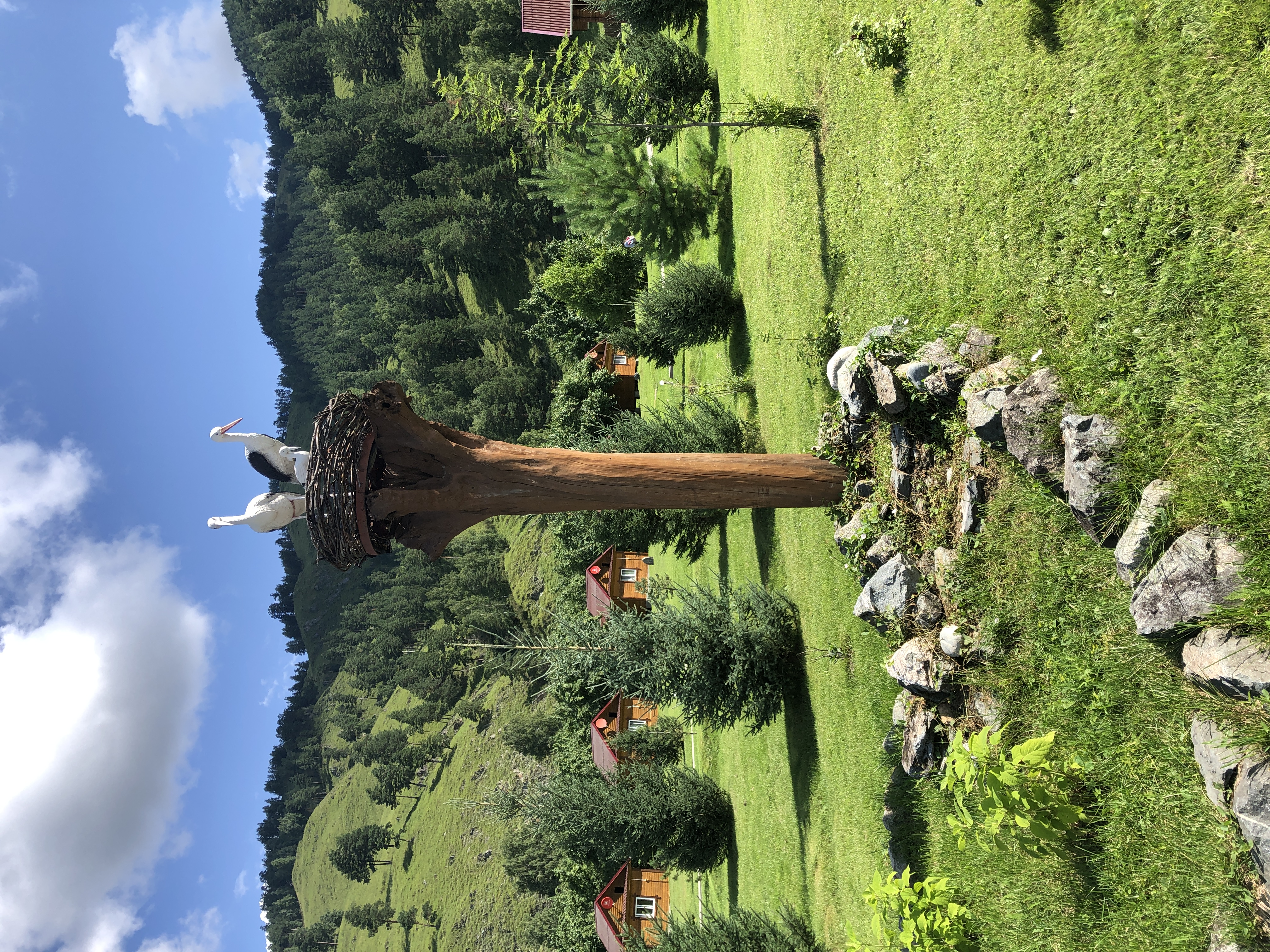 Фото Горный источник