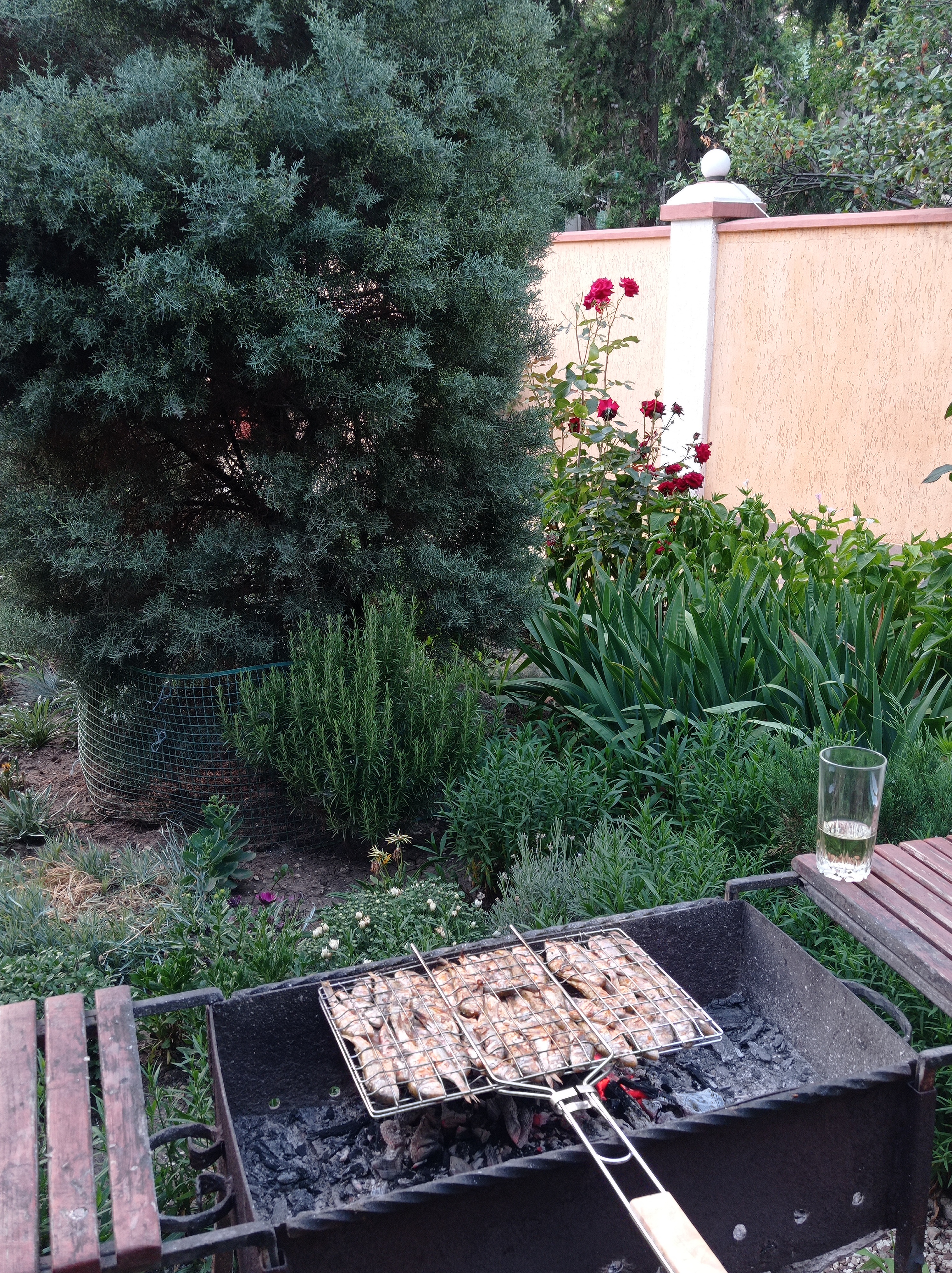 Фото Валента