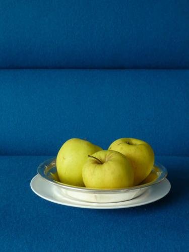 Фото Park Hotel Azalea