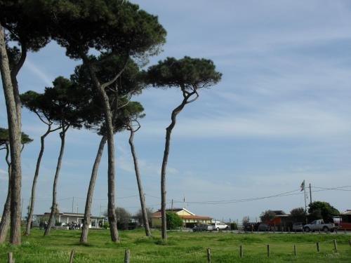 Фото Residence Pax