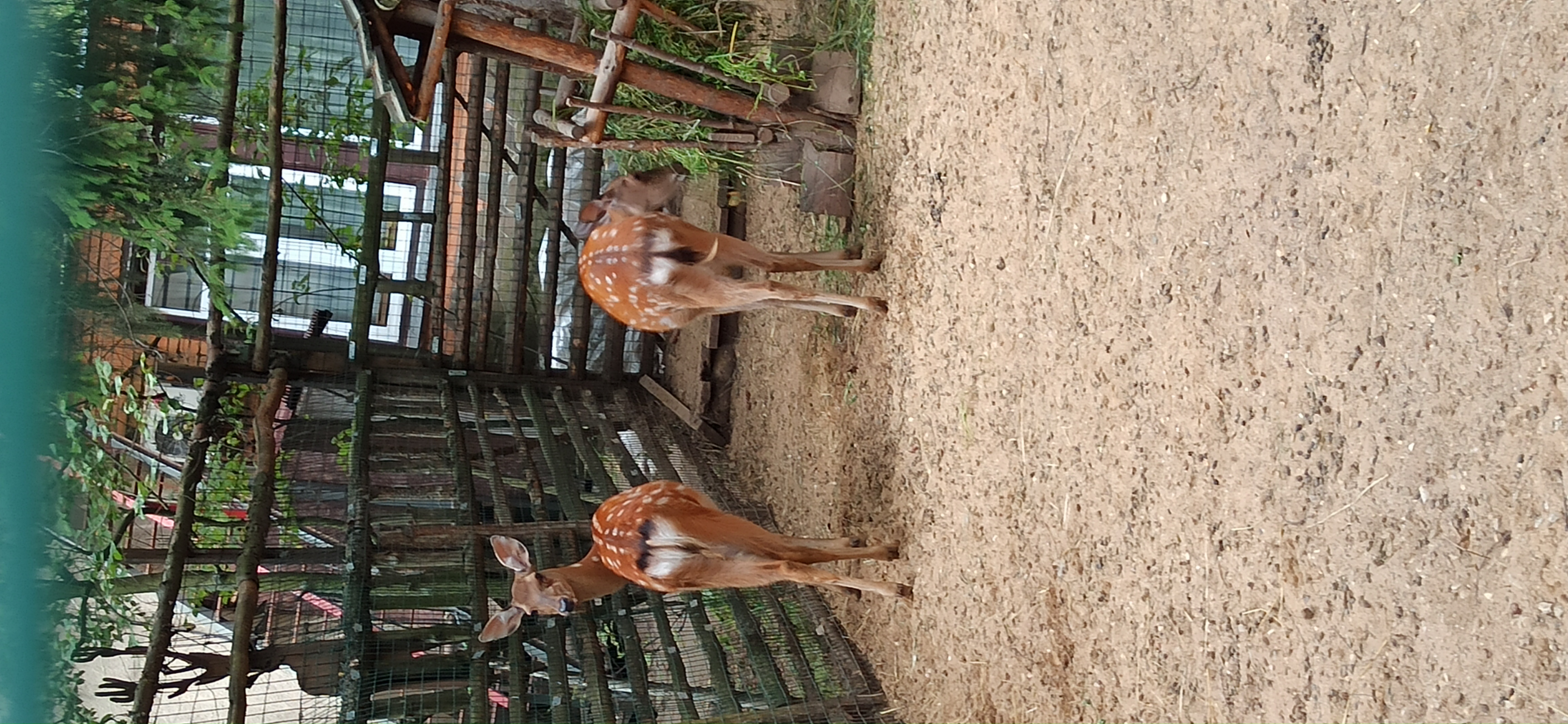 Фото Боярская усадьба