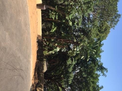 Фото Villa Valencia