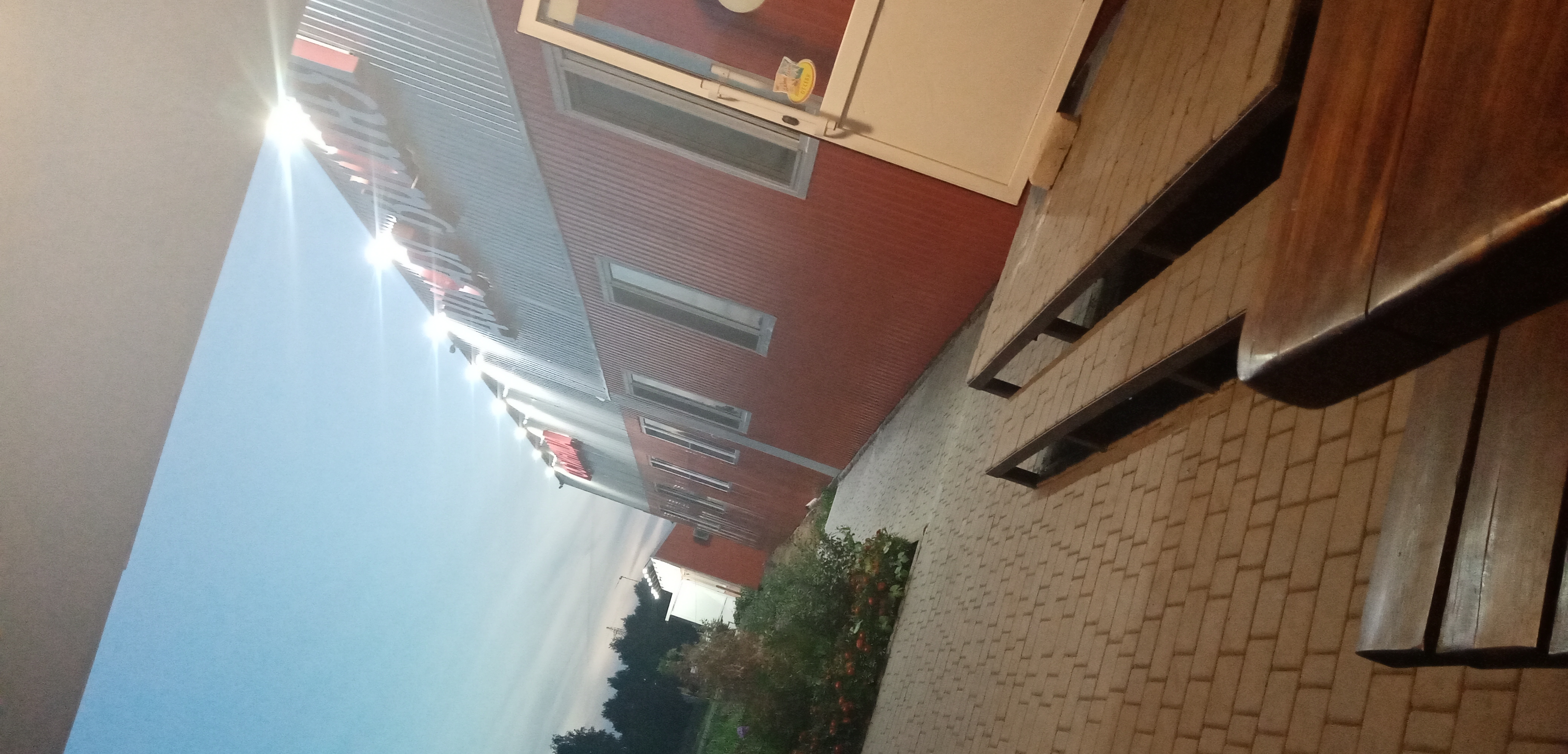 Фото Дикая Вишня