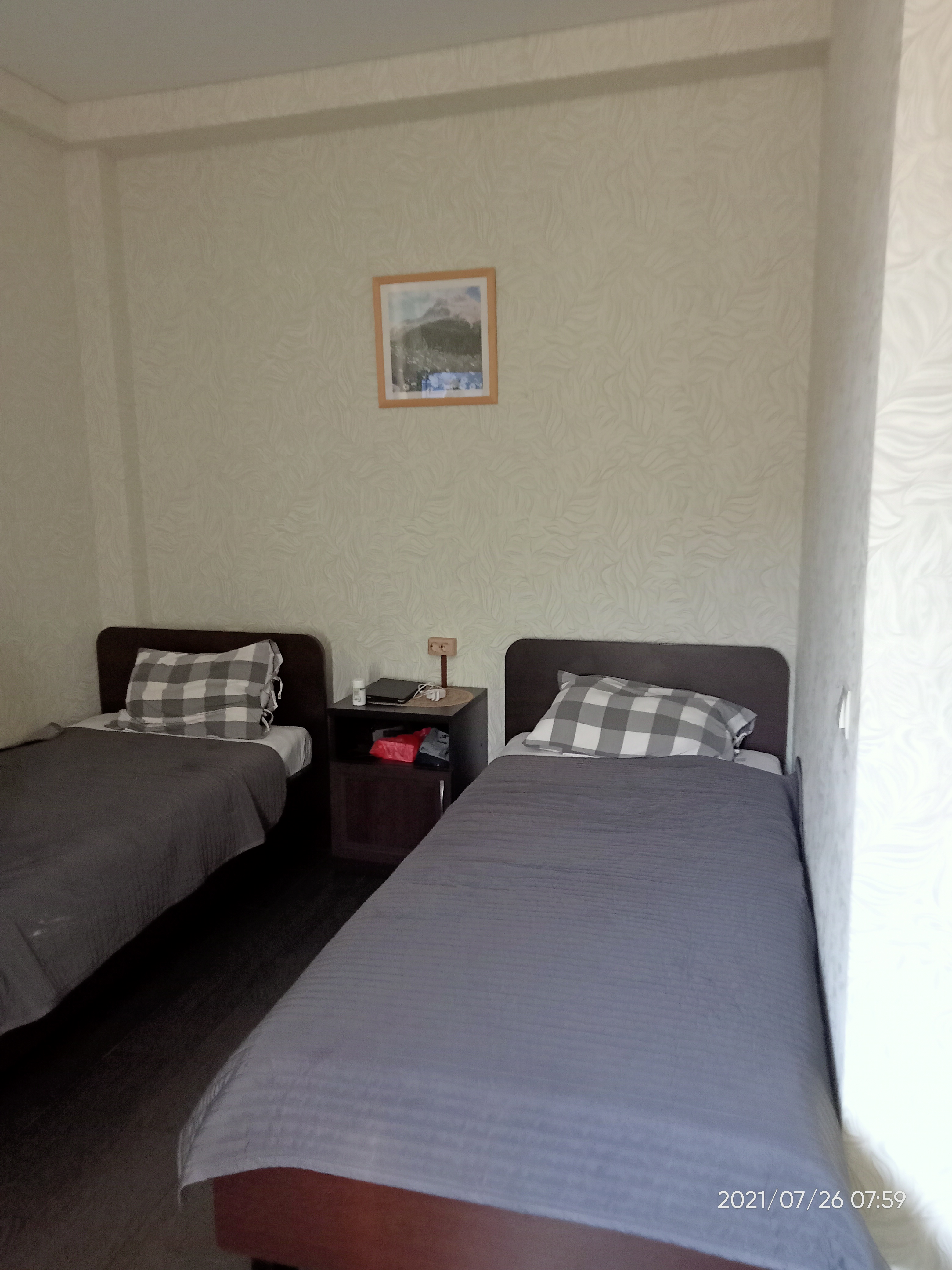 Фото Светлячок