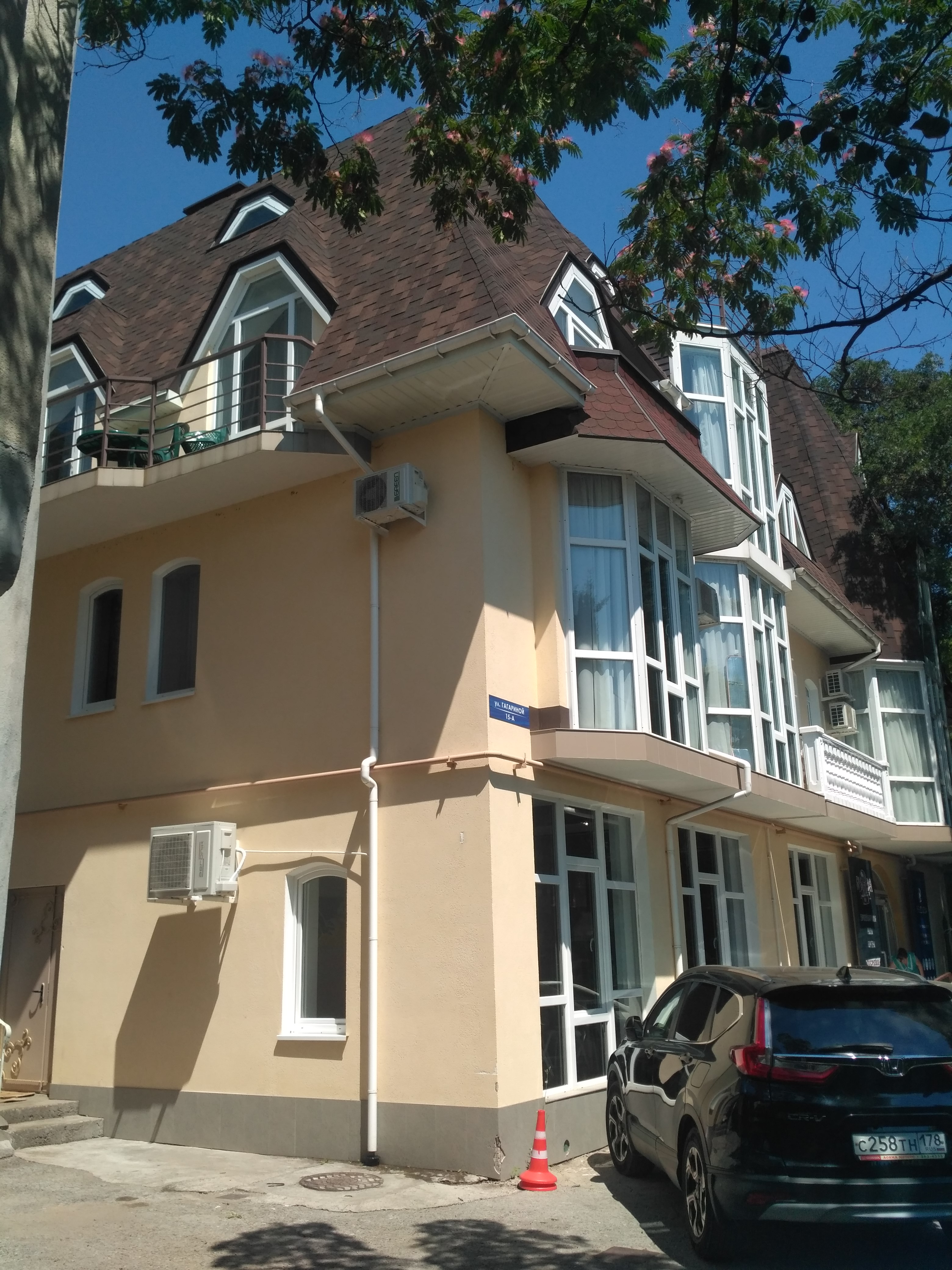 Фото Медуза