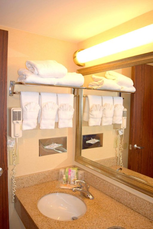 Фото DoubleTree by Hilton St. Louis Airport