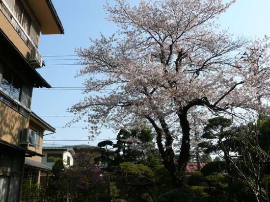 Фото Zaimoku Sakaeya