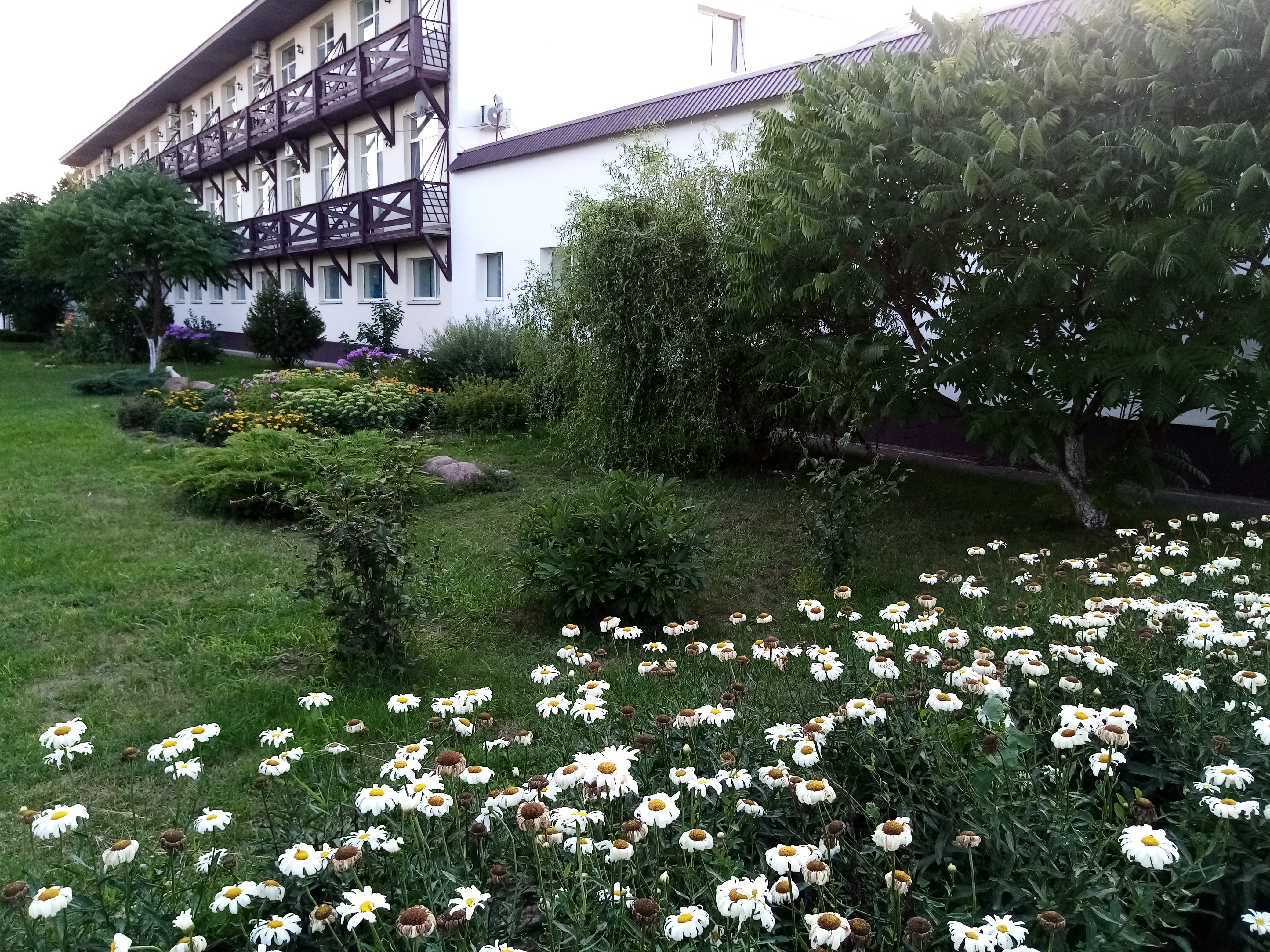 Фото Лихвинские воды