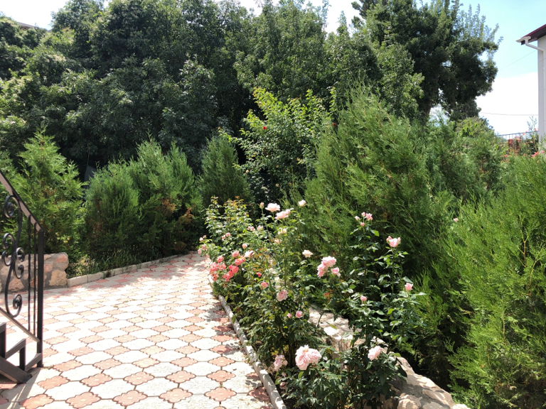 Фото Натали