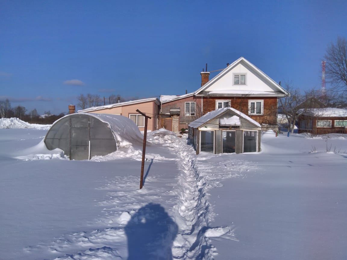 Фото В гостях у тёти Гали