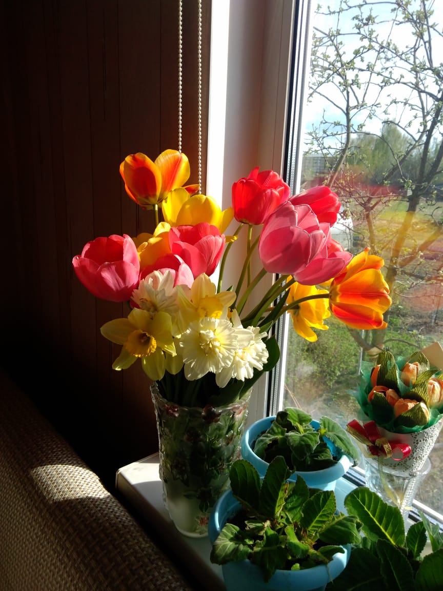 Фото В гостях у тёти Гали