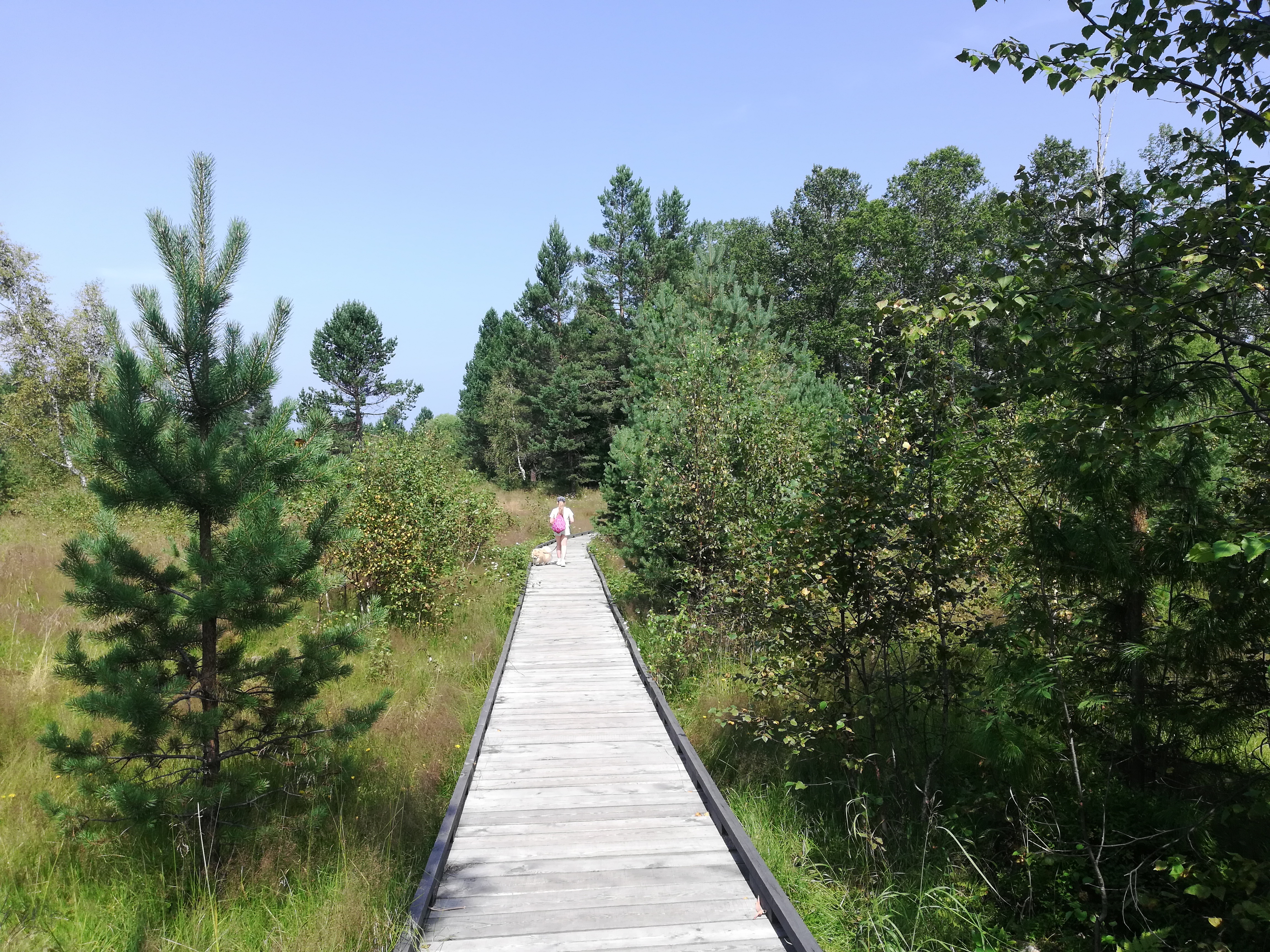 Фото Порт Танхой