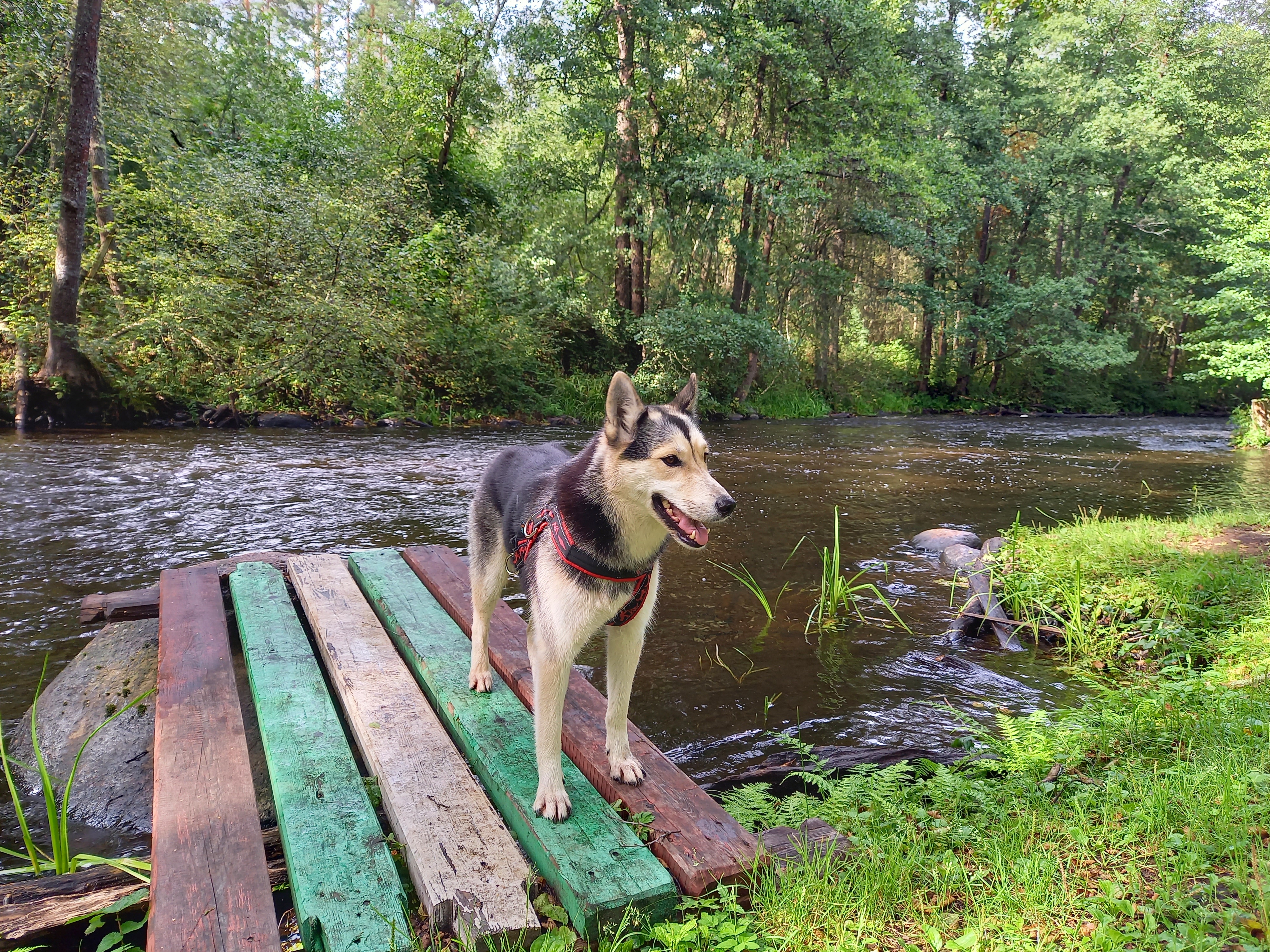 Фото Вилла Тайм