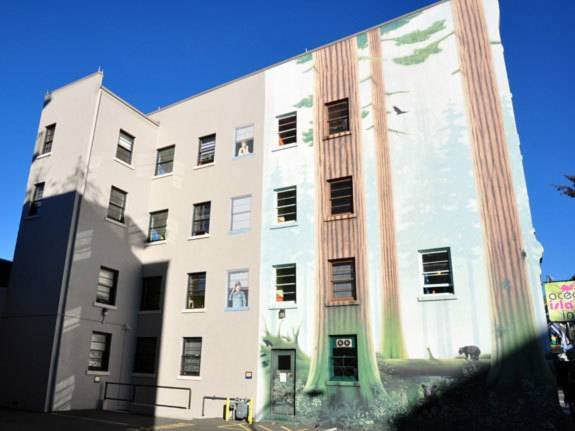 Фото Ocean Island Backpackers Inn