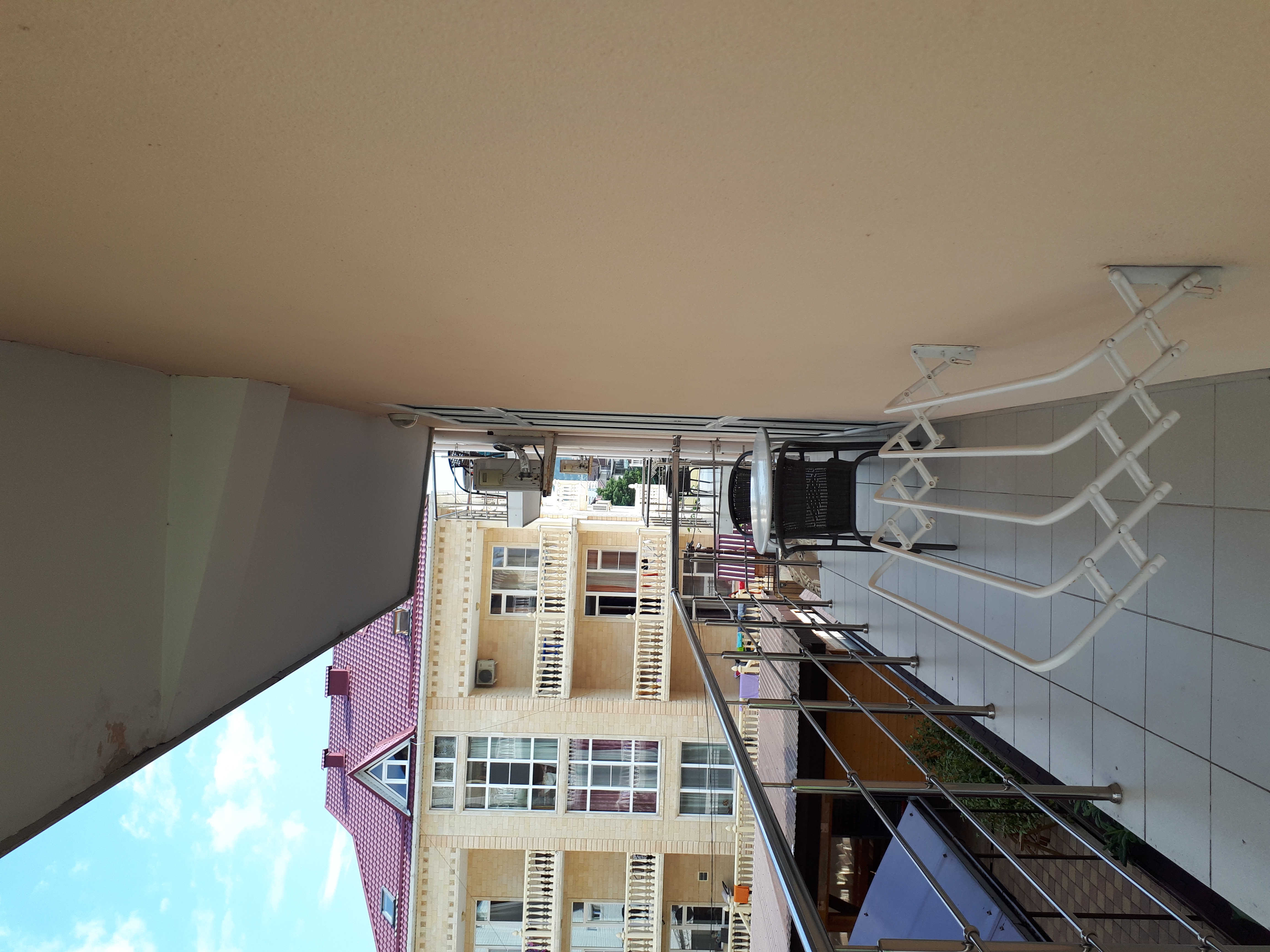 Фото Розмарин