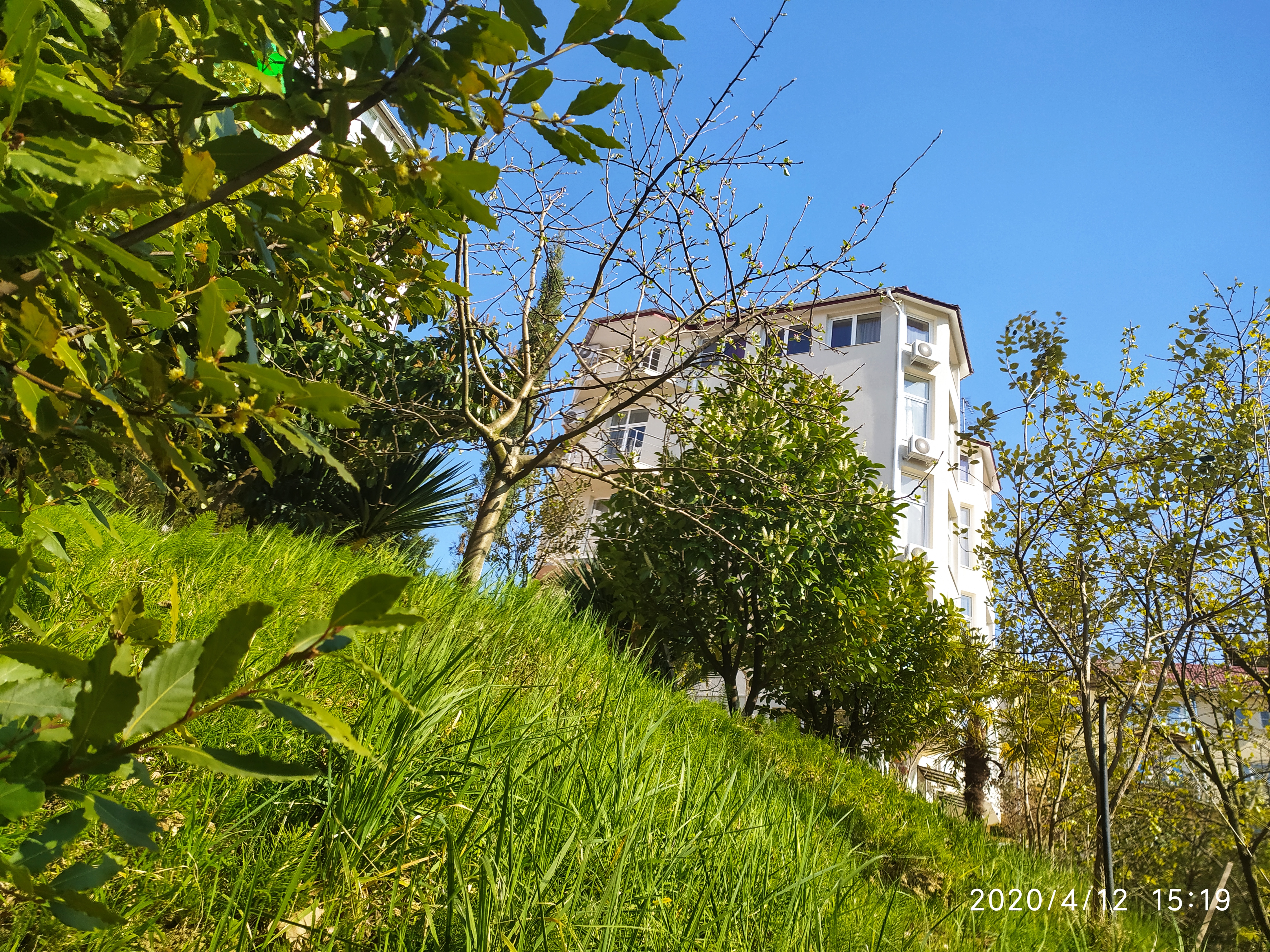 Фото Таун парк