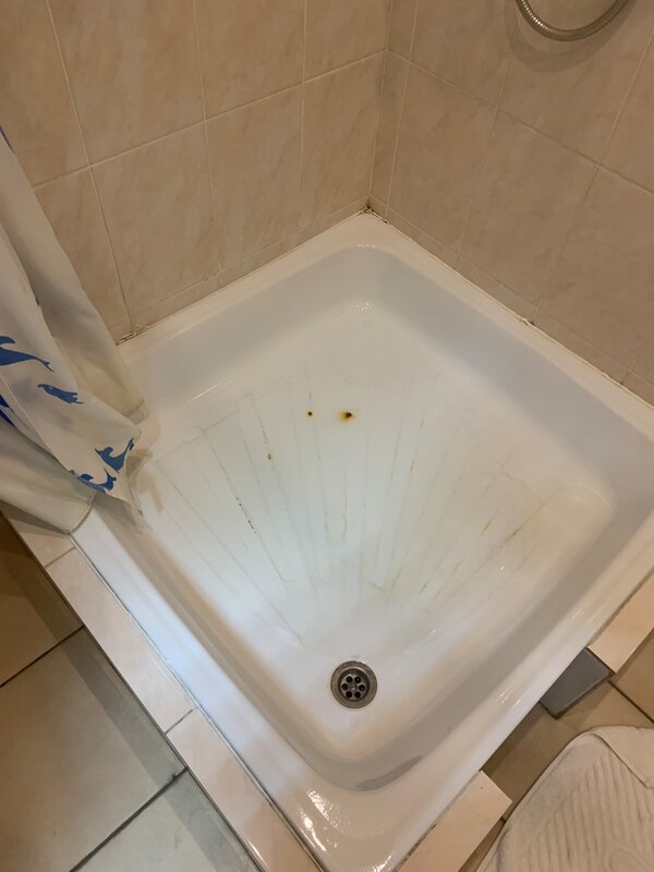 Феста — фото 17