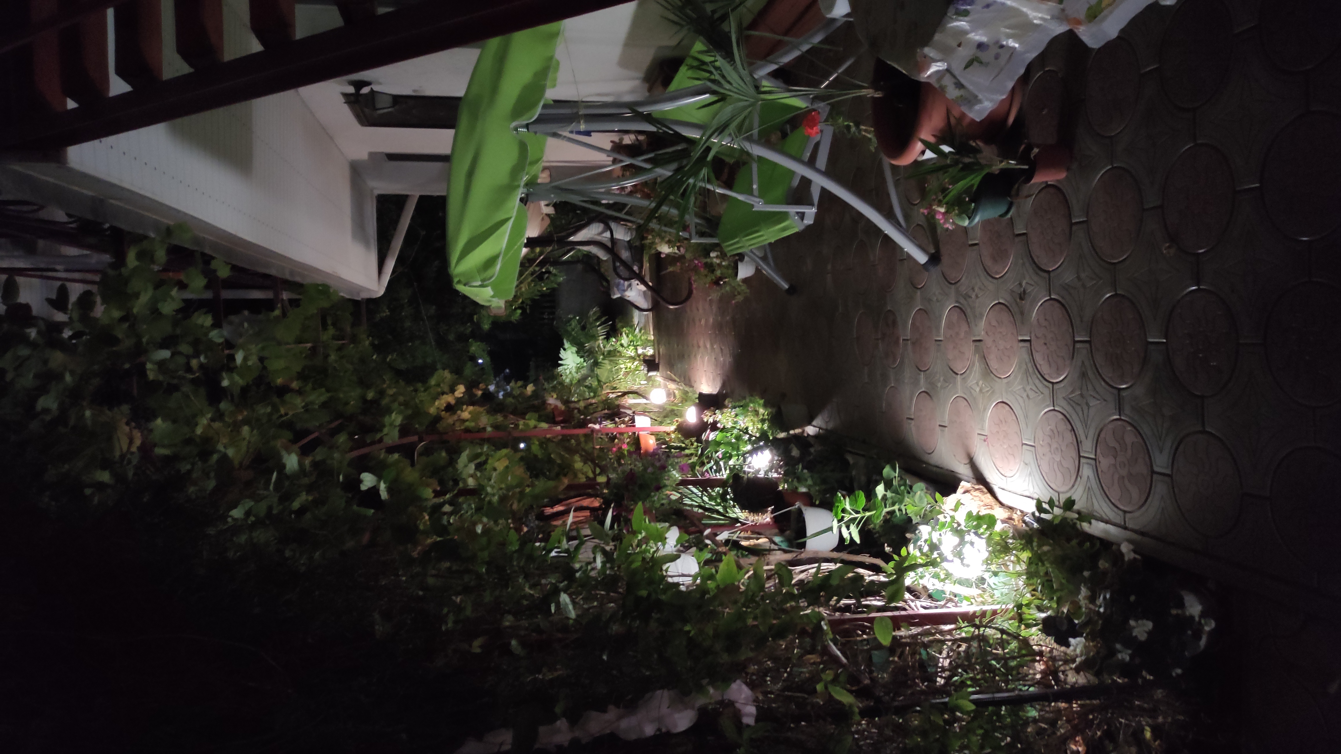 Фото Жемчужина