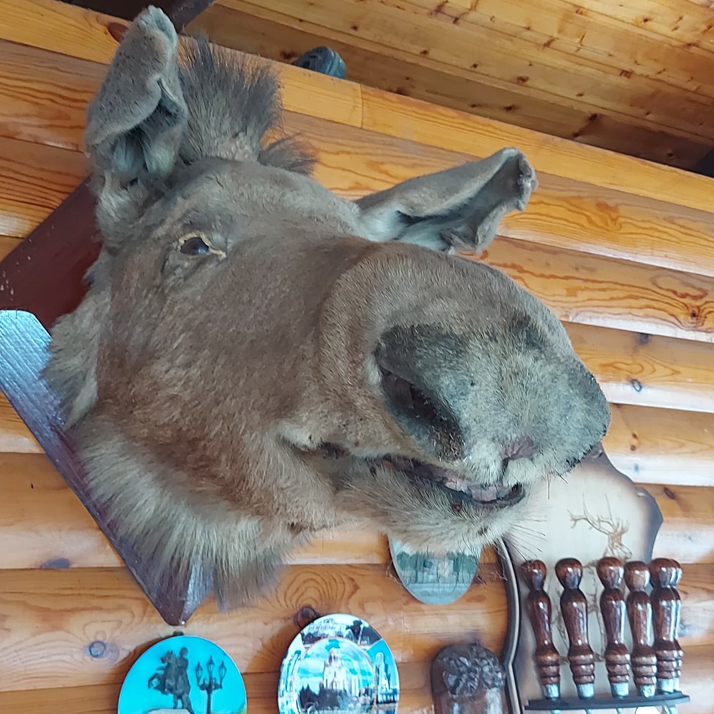 Фото Ключевой 9