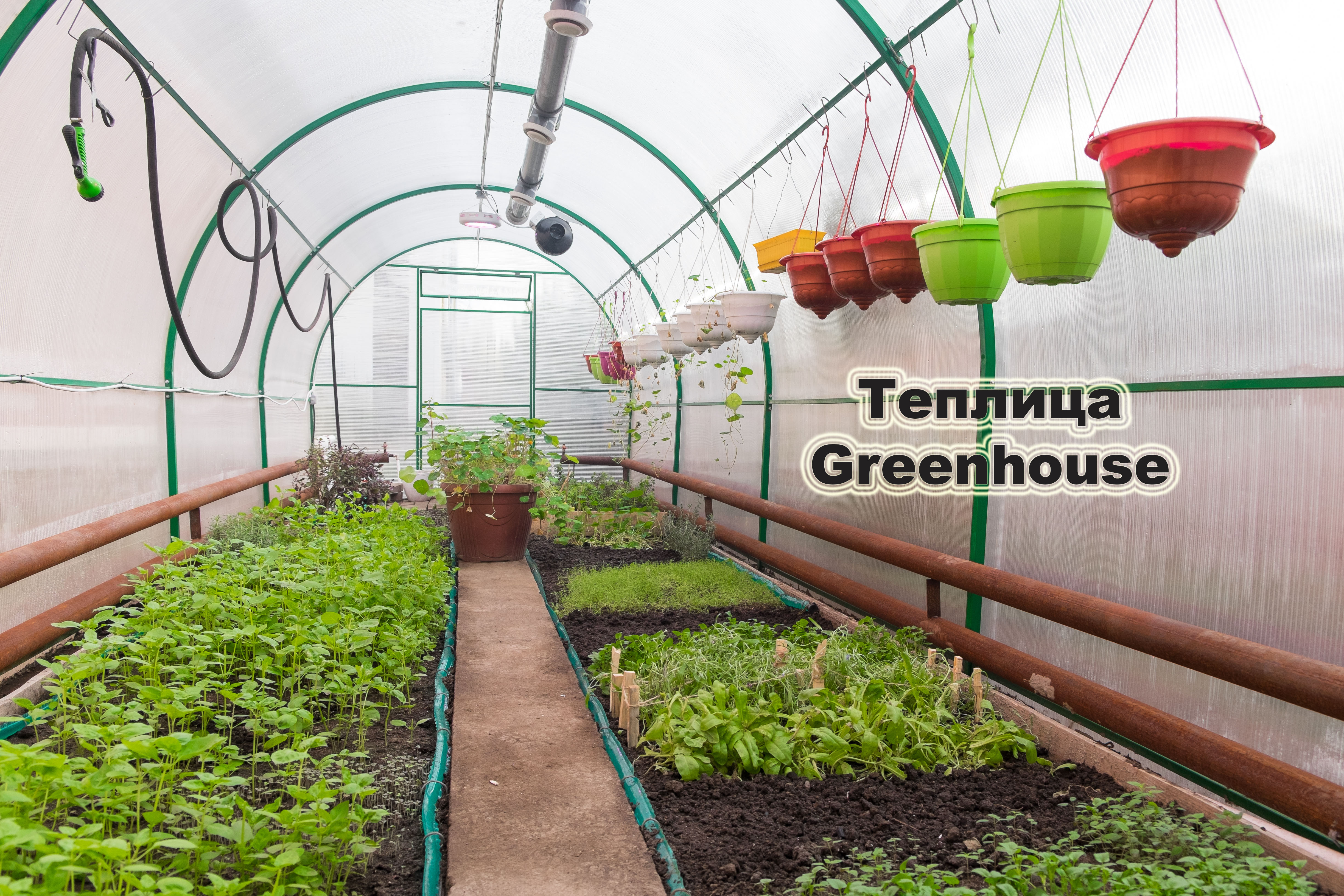 Фото Амстердам