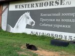 Вестернхорс (Брусничная ул., 0, д. Райкузи, Россия), конный клуб в Санкт‑Петербурге и Ленинградской области